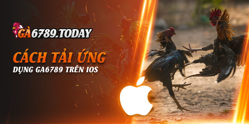 Cách tải ứng dụng Ga6789 trên iOS